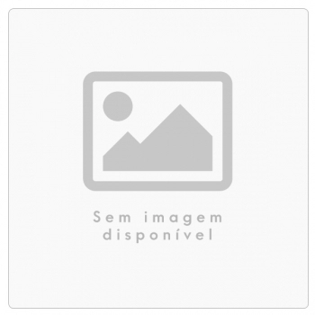 OUTROS MOTORES DE CORRENTE ALTERNADA E MONOFASICO PARA PORTA DE ROLAR MOD. AC-300 - 250-W - AUTOMATIC